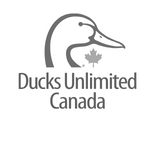 3-DucksUnlimited