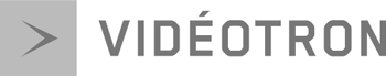 logo-videoton